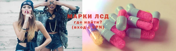 хмурый Карпинск