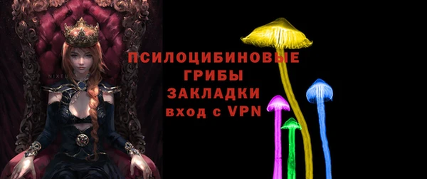 прущий лед Касимов