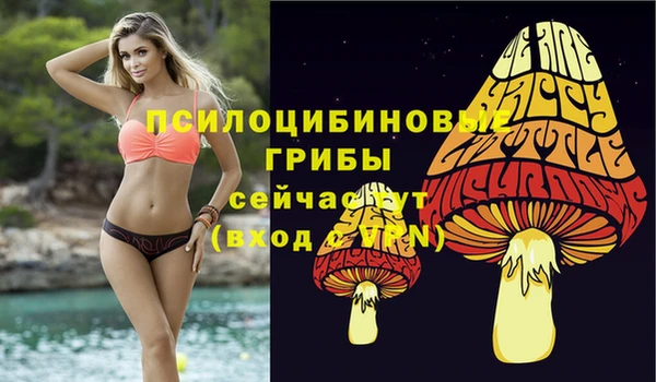хмурый Карпинск