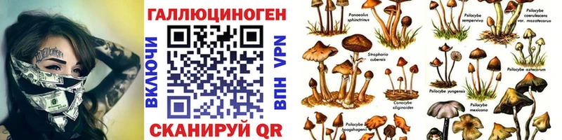 Псилоцибиновые грибы мухоморы  Купить  Березники 